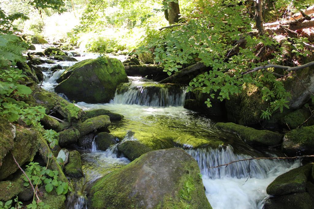 Svit Sontsya Tur'ya Polyana Buitenkant foto